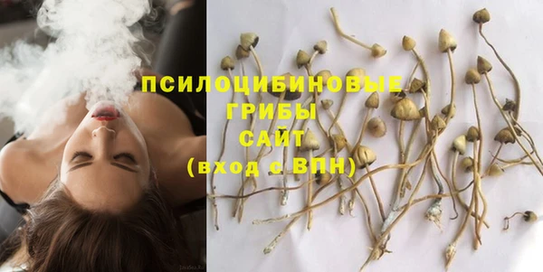 мескалин Заводоуковск
