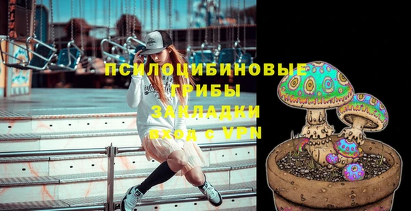 крисы Заволжск