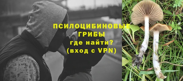 mdpv Зеленокумск