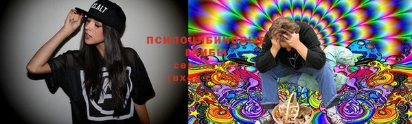 СК Зеленодольск