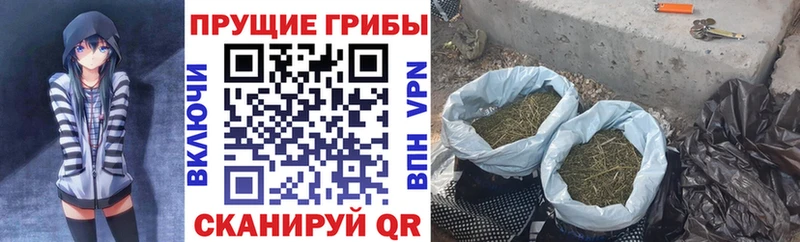 Псилоцибиновые грибы Psilocybine cubensis  купить наркотик  Карпинск 