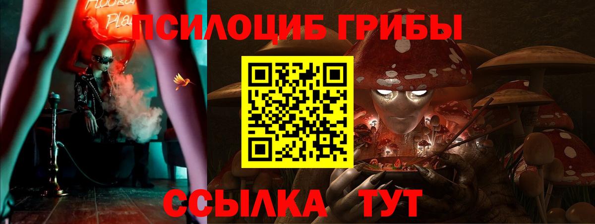 Псилоцибиновые грибы GOLDEN TEACHER  Вход с VPN  Карпинск 