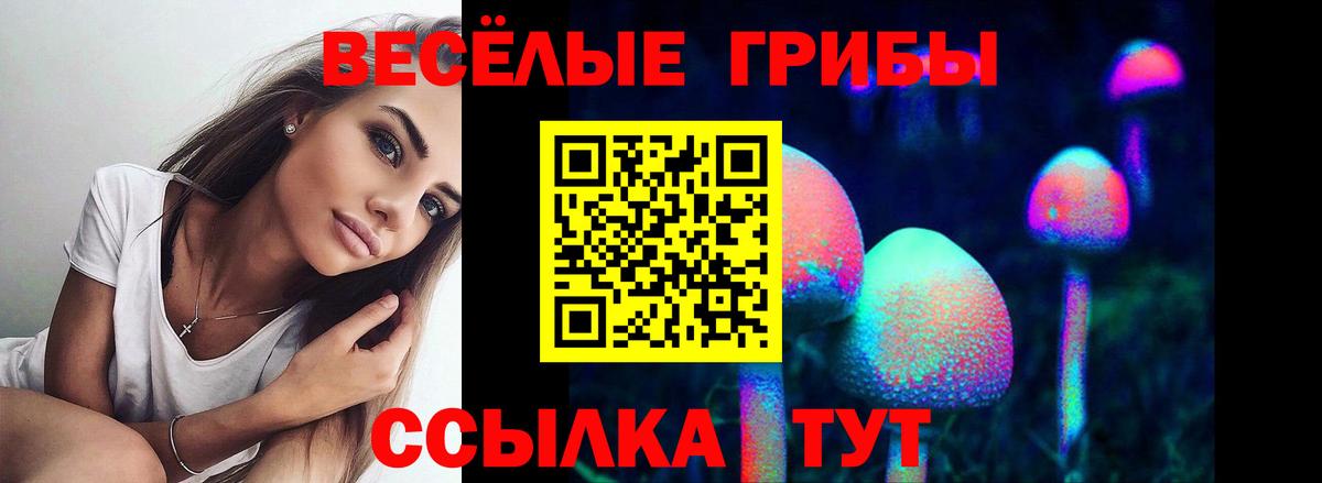 Псилоцибиновые грибы Magic Shrooms Карпинск